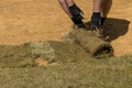 Worker is unrolling laying sod for new garden lawn Royalty Free Stock Photo