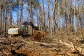 A worker uproots trees in forest with help of an excavator in preparation for building house