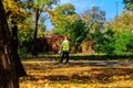 Worker uses blower to clear fallen autumn leaves in city park