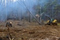 Worker is using excavator to uproot trees in forest prepare ground for a house.