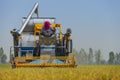 The worker using harvesting machine in the paddy field