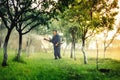 worker using mistblower for toxic pesticide distribution in fruit orchard Royalty Free Stock Photo