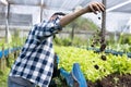 A worker on a vegetable farm examines soil conditions and crop growth to determine the best type and amount of crop to plant. A