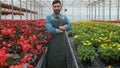 Worker walking in a flowerpot. Agricultural engineer working in greenhouse. Royalty Free Stock Photo