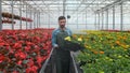 Worker walking in a flowerpot. Agricultural engineer working in greenhouse. Royalty Free Stock Photo