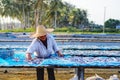 A worker was busy drying the fish for the process of drying the fish under the sun's heat before it became salted fish.