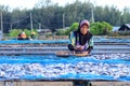 A worker was busy drying the fish for the process of drying the fish under the sun's heat before it became salted fish.