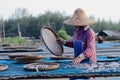 A worker was busy drying the fish for the process of drying the fish under the sun's heat before it became salted fish.