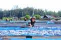 A worker was busy drying the fish for the process of drying the fish under the sun's heat before it became salted fish.