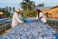 A worker was busy drying the fish for the process of drying the fish under the sun's heat before it became salted fish.