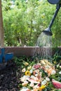 Worker watering compost box outdoors full with garden browns and greens and food  wastes, blue shovel in the soil Royalty Free Stock Photo