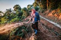 Worker watering plant in garden.