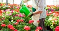 Worker watering plants