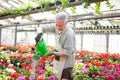 Worker watering plants