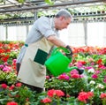 Worker watering plants