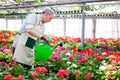 Worker watering plants