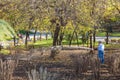 Worker watering public garden