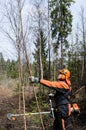 Worker in wild forest