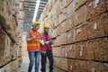 Worker are working at lumber yard in Large Warehouse. Royalty Free Stock Photo