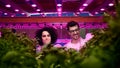 Workers on aquaponic farm, sustainable business and artificial lighting.