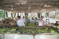 Workers in Banana Plantation Royalty Free Stock Photo