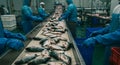 Fish Processing Plant Royalty Free Stock Photo