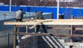 Workers build a roof of wood in the house Royalty Free Stock Photo