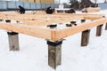 Workers build a timber house, framework beam