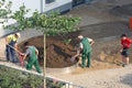 Workers carry out landscaping