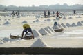 Workers carrying salt at the salt farm.