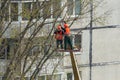Workers in the city cut trees with a chainsaw while standing on a crane lift Royalty Free Stock Photo