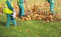 Workers cleaning fallen autumn leaves