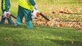 Workers cleaning fallen autumn leaves