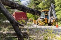 Workers clear storm debris in highway Royalty Free Stock Photo