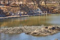 Workers clearing the lake and landscaping the park area