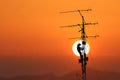 Workers are climbing to repair the telecommunication tower,Red s