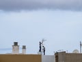 Workers during covi-19 in a rooftop