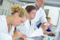 Workers in dental lab Royalty Free Stock Photo