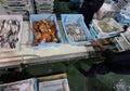 Workers distributing cargo on fish market