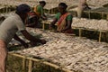 workers drying fish in a fish dry facility at frezargunj, west Bengal, india