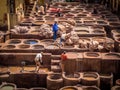 Workers are dyeing leather at the tannery in Fez, Fes el Bali Royalty Free Stock Photo