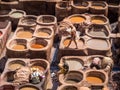 Workers are dyeing leather at the tannery in Fez, Fes el Bali Royalty Free Stock Photo