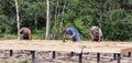 Workers erecting wooden base of a country house.