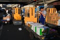 Workers at Famous Tsukiji fish market