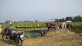 Workers farmers working in a paddy field in Gujarat