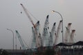 The Beautiful Crane In Afternoon In North Jakarta