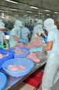 Workers are filleting of pangasius catfish in a seafood processing plant in An Giang, a province in the Mekong delta of Vietnam