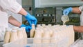 Workers filling a milk in bottles by hands at milk factory