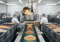 Workers in a food processing facility oversee nuts moving along a Royalty Free Stock Photo
