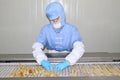 Workers in the food processing production line Royalty Free Stock Photo